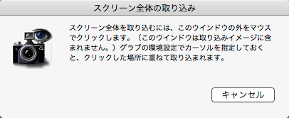 スクリーン全体の取り込み